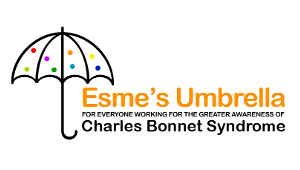 Logo of Esmes Umbrella Image contains n illustration of an umbrella with brightly coloured dots on the left hand side. To the right, in Orange text it says