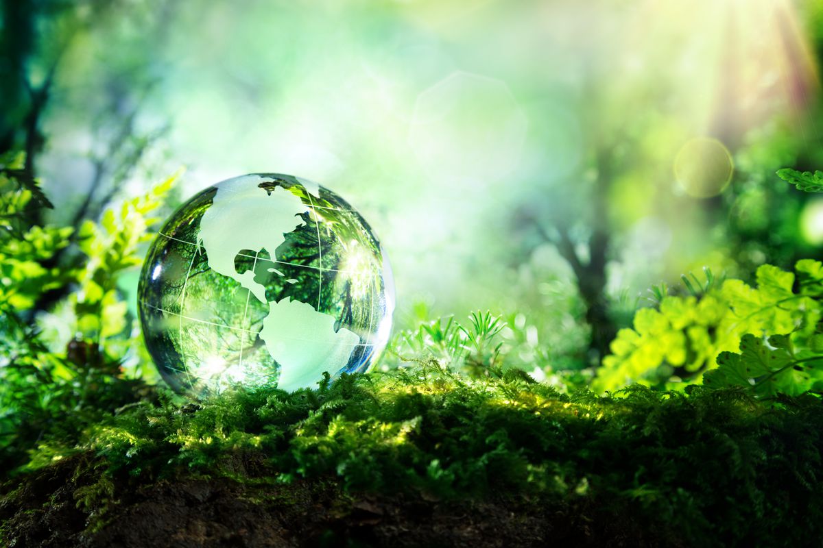 Stock image of a glass globe in a green area