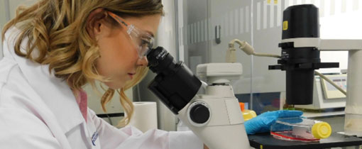 Photo of a female scientist using a microscope