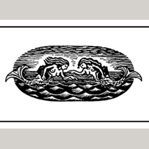 Artsfest, Wolverhampton School of Art, University of Wolverhampton