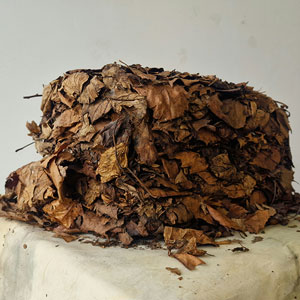 A pile of leaves arranged together in a cohesive shape, resembling a tree stump.