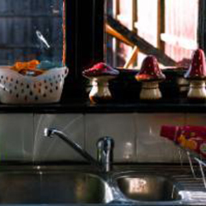 Photograph of a stainless steel, kitchen sink with a bootle of washing up liquid and a shelf above, underneath the window, with 3 ceramic mushrooms on it.