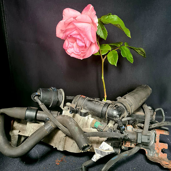 Image showing industrial piping, of various shapes and sizes on a black background with a pink rose growing upwards from the centre