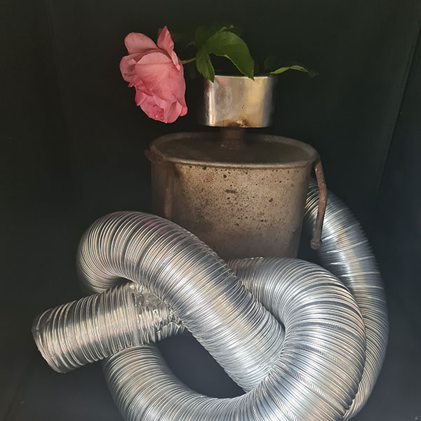 large diameter shinny, corrugated industrial tubbing sculpted into a knot around a bucket containing a pink rose, photographed against a dark background