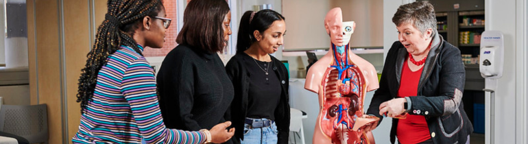 A teacher and three students looking at a model of a human body.