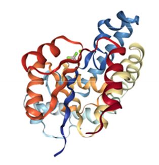 Image representing pharmacology research